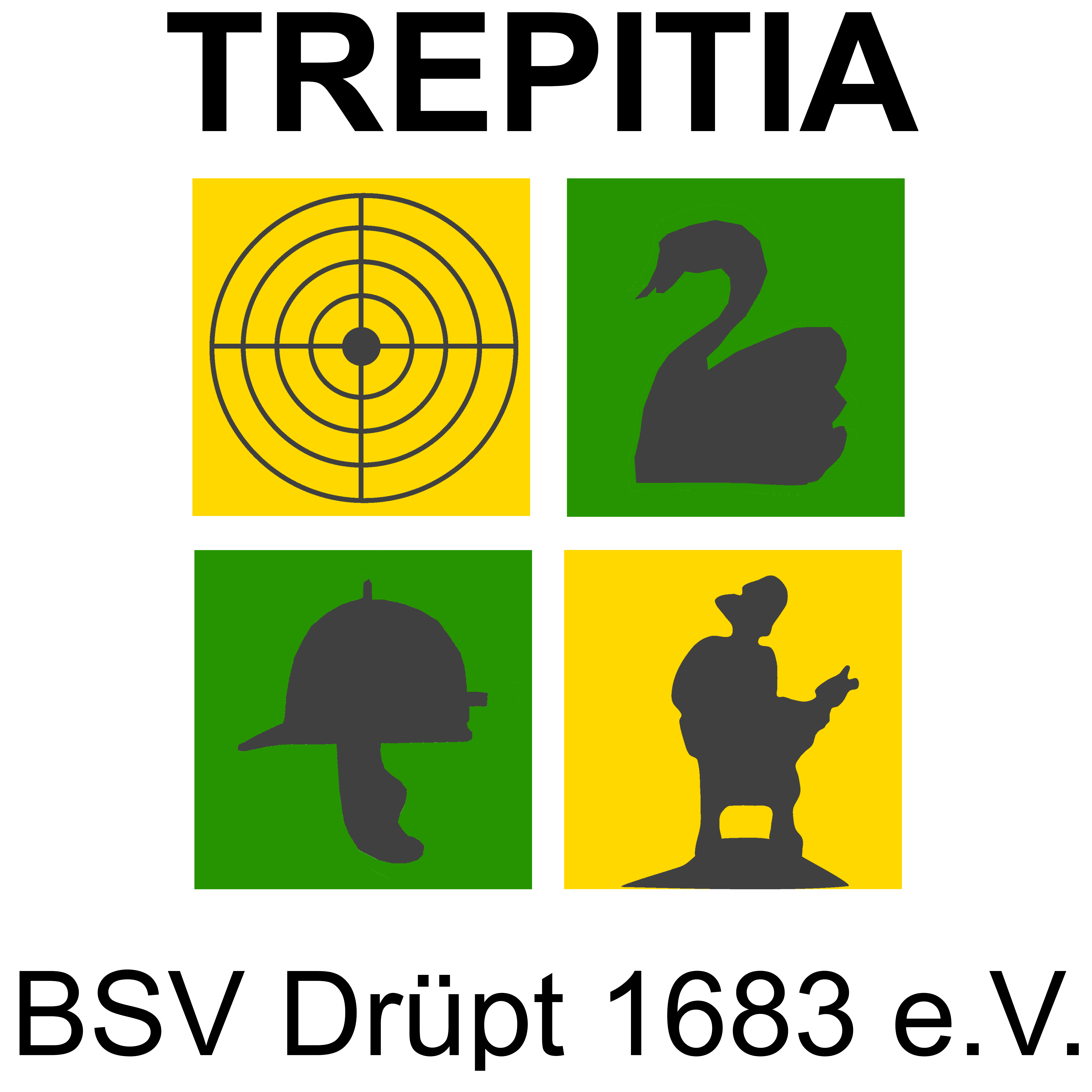 BSV Logo (mit Text, transparenter Hintergrund)